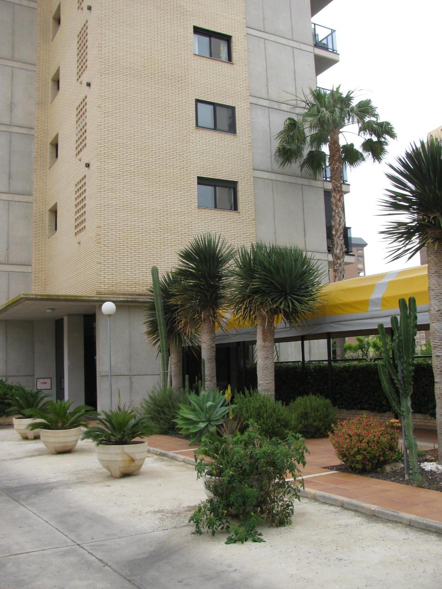 Apartamentos Torre Ipanema Μπένιντορμ Εξωτερικό φωτογραφία