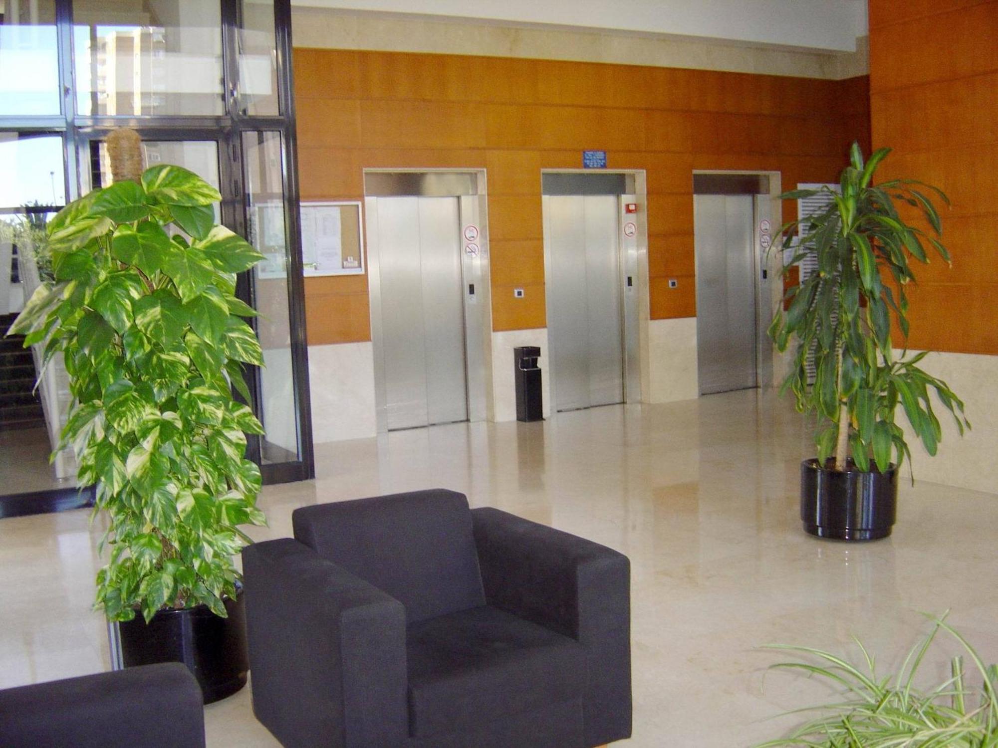 Apartamentos Torre Ipanema Μπένιντορμ Εξωτερικό φωτογραφία